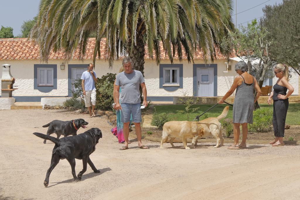 Cabra - Porto Covo Pensionat Exteriör bild